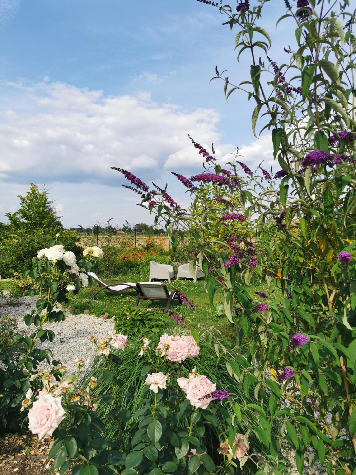 Rezydencja Pod Pieprzowkami Hotel Zalesie Gorzyckie Luaran gambar